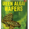 TROPICAL Green Algae Wafers 100ml Pastilles Végétales Descendantes Pour Mangeurs D'algues, Avec Spirulina 2 TROPICAL Green Algae Wafers 100ml Pastilles Végétales Descendantes Pour Mangeurs D'algues, Avec Spirulina -Poissons Aquariums Magasin green algae wafers 1000