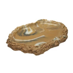 HOBBY Abreuvoir Plate L Dimension 22,5 X 17 X 2 Cm Pour Terrarium Idéal Pour Les Tortues