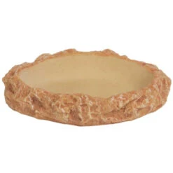 HOBBY Abreuvoir Plate M Dimension 12 X 8 X 2 Cm Pour Terrarium Idéal Pour Les Tortues