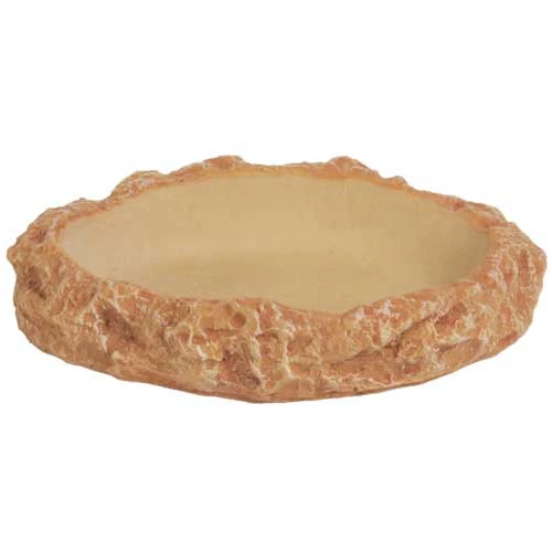 HOBBY Abreuvoir Plate M Dimension 12 X 8 X 2 Cm Pour Terrarium Idéal Pour Les Tortues 3 HOBBY Abreuvoir Plate M Dimension 12 X 8 X 2 Cm Pour Terrarium Idéal Pour Les Tortues