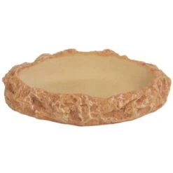 HOBBY Abreuvoir Plate S Dimension 8 X 6 X 2 Cm Idéal Pour Les Tortues