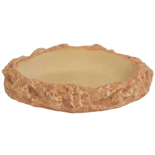 HOBBY Abreuvoir Plate S Dimension 8 X 6 X 2 Cm Idéal Pour Les Tortues 3 HOBBY Abreuvoir Plate S Dimension 8 X 6 X 2 Cm Idéal Pour Les Tortues