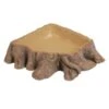 HOBBY Abreuvoir Stump 3 Dimension 26 X 26 X 6 Cm Pour Terrarium 1 HOBBY Abreuvoir Stump 3 Dimension 26 X 26 X 6 Cm Pour Terrarium -Poissons Aquariums Magasin hobby abreuvoir stump 3