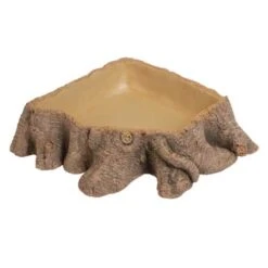 HOBBY Abreuvoir Stump 3 Dimension 26 X 26 X 6 Cm Pour Terrarium
