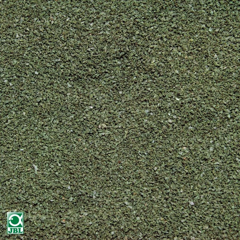 JBL NovoGranoVert Mini Click 100 Ml Granulés Pour Petits Poissons D'aquarium Herbivores Avec Doseur 4 JBL NovoGranoVert Mini Click 100 Ml Granulés Pour Petits Poissons D'aquarium Herbivores Avec Doseur – Image 2