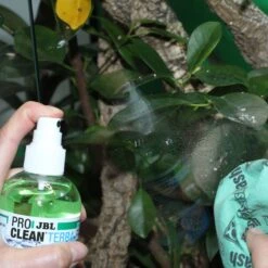 JBL ProClean Terra Nettoyant Vitres Pour Terrarium Sans Danger Pour Les Animaux 9 JBL ProClean Terra Nettoyant Vitres Pour Terrarium Sans Danger Pour Les Animaux -Poissons Aquariums Magasin jbl proclean terra nettoyant vitres pour terrarium sans danger pour les animaux 4 min