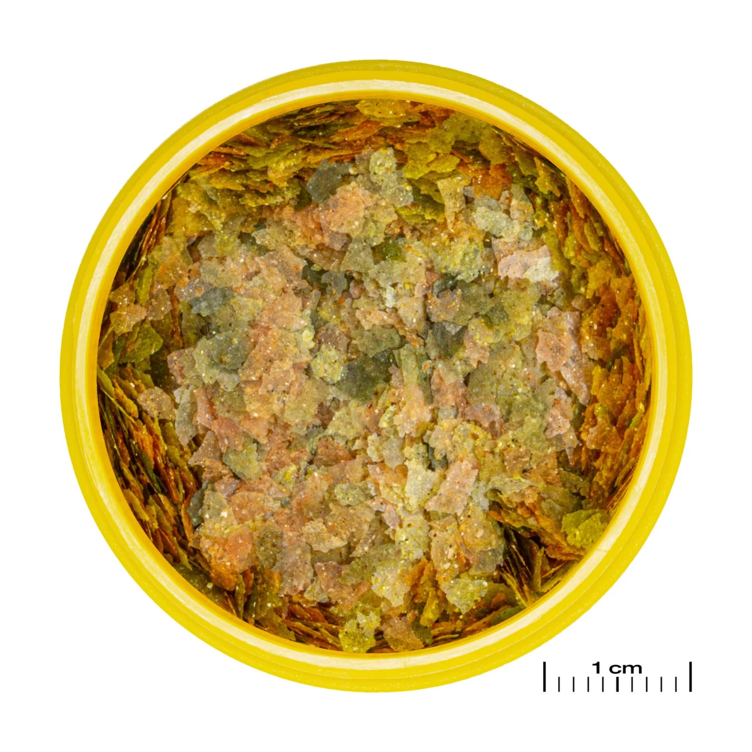 JBL ProNovo Bel Flakes S 100 Ml Nourriture De Base En Flocons Pour Tous Poissons D'aquarium De 3 à 10 Cm 4 JBL ProNovo Bel Flakes S 100 Ml Nourriture De Base En Flocons Pour Tous Poissons D'aquarium De 3 à 10 Cm – Image 2