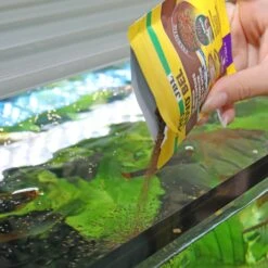 JBL ProNovo Bel Grano S 20 Ml Nourriture De Base En Granulés Pour Tous Poissons D'aquarium De 3 à 10 Cm -Poissons Aquariums Magasin jbl pronovo bel grano s 20 ml nourriture de base en granules pour tous poissons d aquarium de 3 a 10 cm 4 min