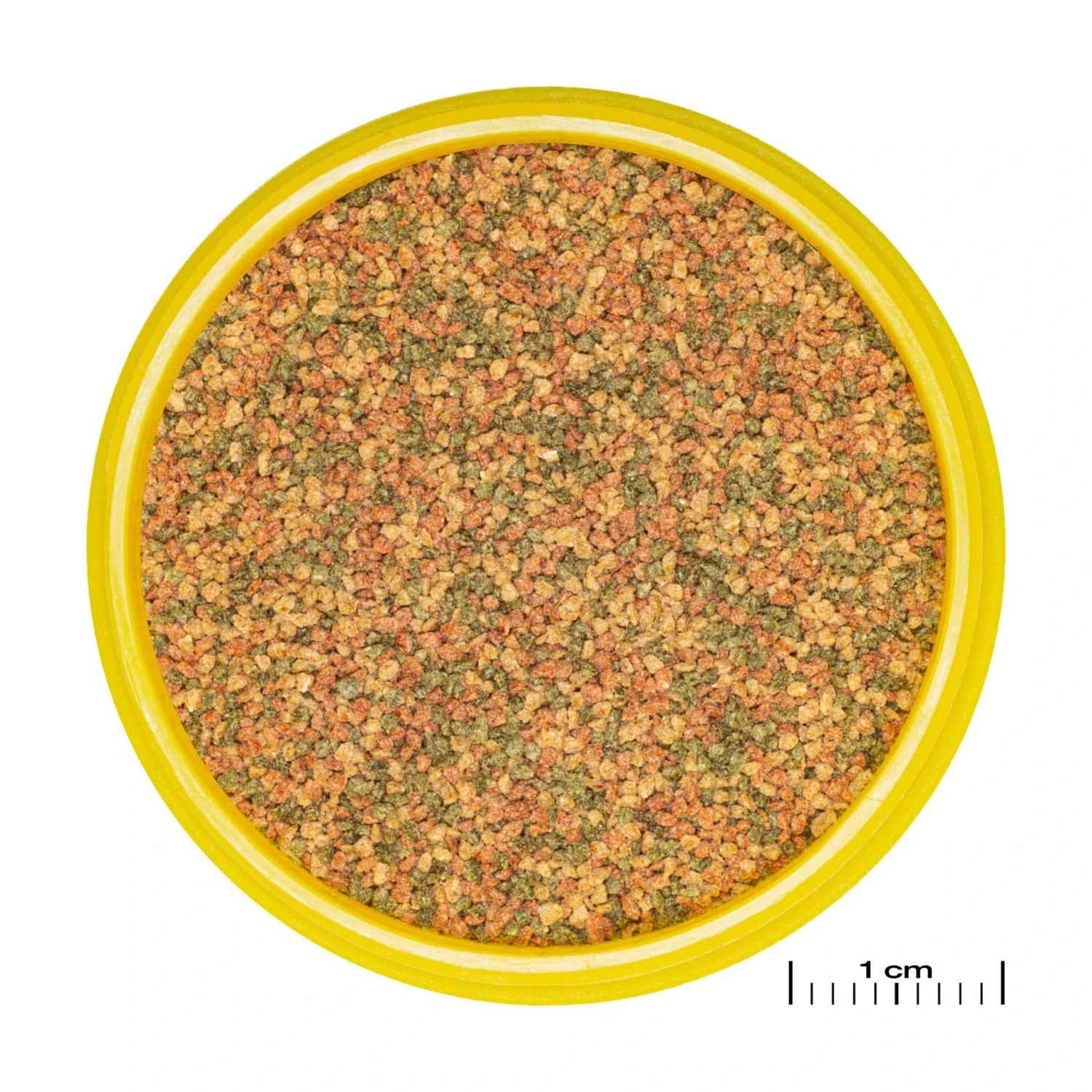 JBL ProNovo Bel Grano XS 100 Ml Click Nourriture De Base En Granulés Pour Tous Poissons D'aquarium De 3 à 5 Cm 4 JBL ProNovo Bel Grano XS 100 Ml Click Nourriture De Base En Granulés Pour Tous Poissons D'aquarium De 3 à 5 Cm – Image 2