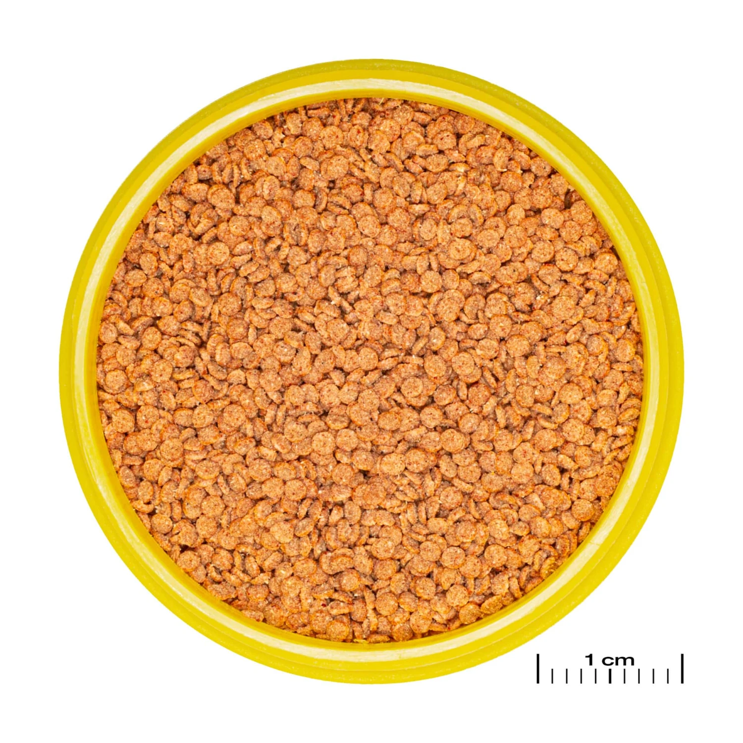 JBL ProNovo Betta Grano S 100 Ml Nourriture De Base En Granulés Pour Combattants De 3 à 10 Cm 4 JBL ProNovo Betta Grano S 100 Ml Nourriture De Base En Granulés Pour Combattants De 3 à 10 Cm – Image 2