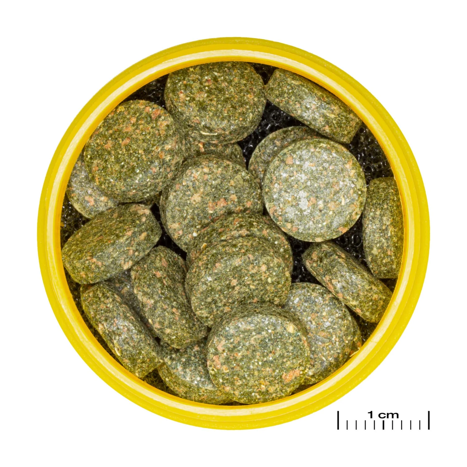 JBL ProNovo Botia Tab M 1000 Ml Nourriture En Comprimés Pour Tous Les Poissons Loches De 1 à 20 Cm 4 JBL ProNovo Botia Tab M 1000 Ml Nourriture En Comprimés Pour Tous Les Poissons Loches De 1 à 20 Cm – Image 2