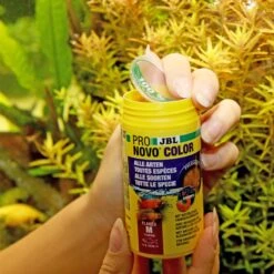 JBL ProNovo Color Flakes M 100 Ml Nourriture En Flocons Rehaussant Les Couleurs Des Poissons D'aquarium De 8 à 20 Cm -Poissons Aquariums Magasin jbl pronovo color flakes nourriture en flocons rehaussant les couleurs des poissons d aquarium de 8 a 20 cm 4