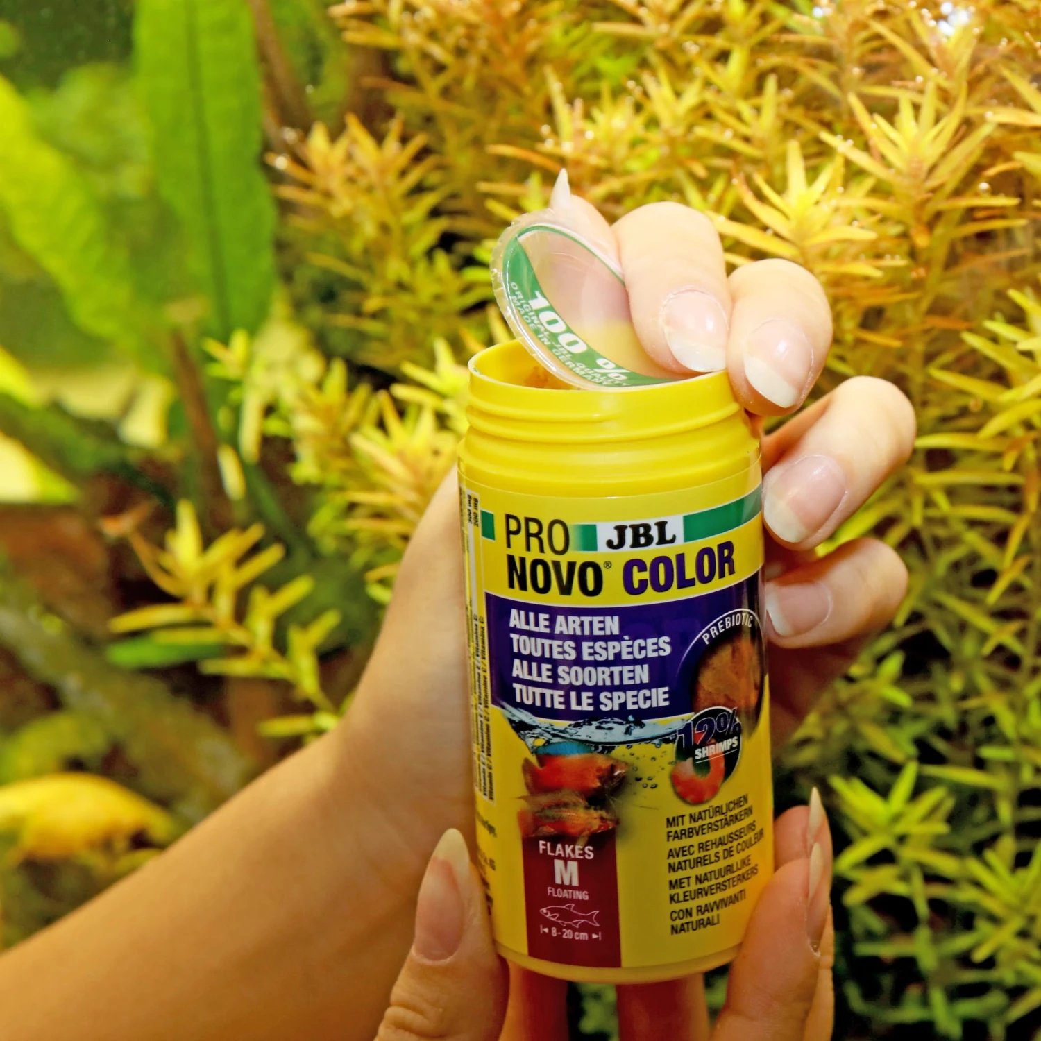 JBL ProNovo Color Flakes M 250 Ml Nourriture En Flocons Rehaussant Les Couleurs Des Poissons D'aquarium De 8 à 20 Cm 6 JBL ProNovo Color Flakes M 250 Ml Nourriture En Flocons Rehaussant Les Couleurs Des Poissons D'aquarium De 8 à 20 Cm – Image 4