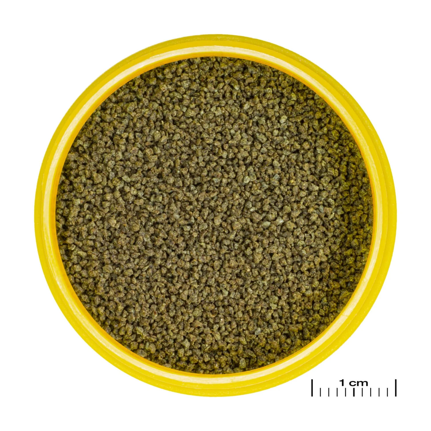 JBL ProNovo Danio Grano XS 100 Ml Click Nourriture En Granulés Pour Petits Barbus Et Danios De 3 à 5 Cm 4 JBL ProNovo Danio Grano XS 100 Ml Click Nourriture En Granulés Pour Petits Barbus Et Danios De 3 à 5 Cm – Image 2