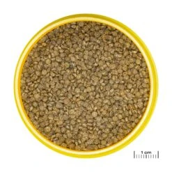 JBL ProNovo Gourami Grano S 250 Ml Click Nourriture De Base En Granulés Pour Gouramis, Colisa Et Autres Labyrinthidés De 3 à 10 Cm 12 JBL ProNovo Gourami Grano S 250 Ml Click Nourriture De Base En Granulés Pour Gouramis, Colisa Et Autres Labyrinthidés De 3 à 10 Cm -Poissons Aquariums Magasin jbl pronovo gourami grano s 250 ml click nourriture de base en granules pour gouramis colisa et autres labyrinthides de 3 a 10 cm 1 min