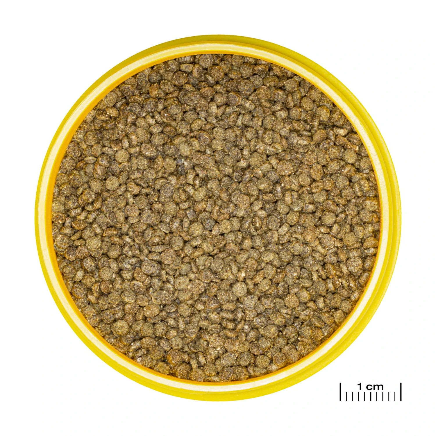 JBL ProNovo Gourami Grano S 250 Ml Click Nourriture De Base En Granulés Pour Gouramis, Colisa Et Autres Labyrinthidés De 3 à 10 Cm 4 JBL ProNovo Gourami Grano S 250 Ml Click Nourriture De Base En Granulés Pour Gouramis, Colisa Et Autres Labyrinthidés De 3 à 10 Cm – Image 2