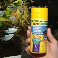 JBL ProNovo Gourami Grano S 250 Ml Click Nourriture De Base En Granulés Pour Gouramis, Colisa Et Autres Labyrinthidés De 3 à 10 Cm 13 JBL ProNovo Gourami Grano S 250 Ml Click Nourriture De Base En Granulés Pour Gouramis, Colisa Et Autres Labyrinthidés De 3 à 10 Cm -Poissons Aquariums Magasin jbl pronovo gourami grano s 250 ml click nourriture de base en granules pour gouramis colisa et autres labyrinthides de 3 a 10 cm 5 min