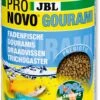 JBL ProNovo Gourami Grano S 250 Ml Click Nourriture De Base En Granulés Pour Gouramis, Colisa Et Autres Labyrinthidés De 3 à 10 Cm 1 JBL ProNovo Gourami Grano S 250 Ml Click Nourriture De Base En Granulés Pour Gouramis, Colisa Et Autres Labyrinthidés De 3 à 10 Cm -Poissons Aquariums Magasin jbl pronovo gourami grano s 250 ml click nourriture de base en granules pour gouramis colisa et autres labyrinthides de 3 a 10 cm min