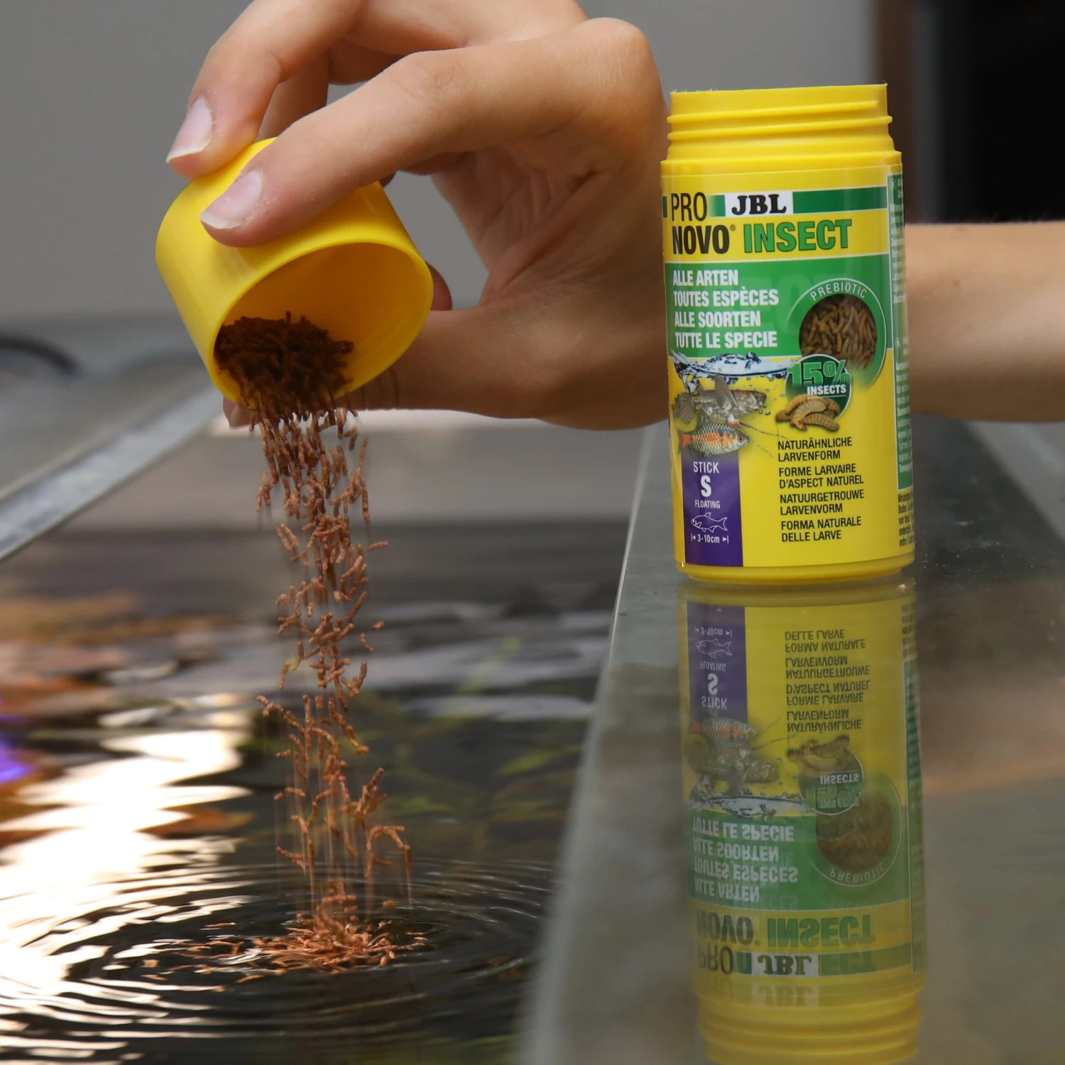 JBL ProNovo Insect Stick S 20 Ml Nourriture En Bâtonnets Pour Tous Les Poissons D'ornement De 3 à 10 Cm 6 JBL ProNovo Insect Stick S 20 Ml Nourriture En Bâtonnets Pour Tous Les Poissons D'ornement De 3 à 10 Cm – Image 4