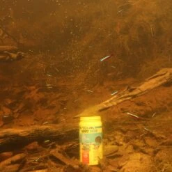 JBL ProNovo Neon Grano XXS 100 Ml Click Nourriture En Granulés Pour Néons Et Autres Petits Characins De 1 à 3 Cm 17 JBL ProNovo Neon Grano XXS 100 Ml Click Nourriture En Granulés Pour Néons Et Autres Petits Characins De 1 à 3 Cm -Poissons Aquariums Magasin jbl pronovo neon grano xxs 100 ml click nourriture en granules pour neons et autres petits characins de 1 a 3 cm 5 min