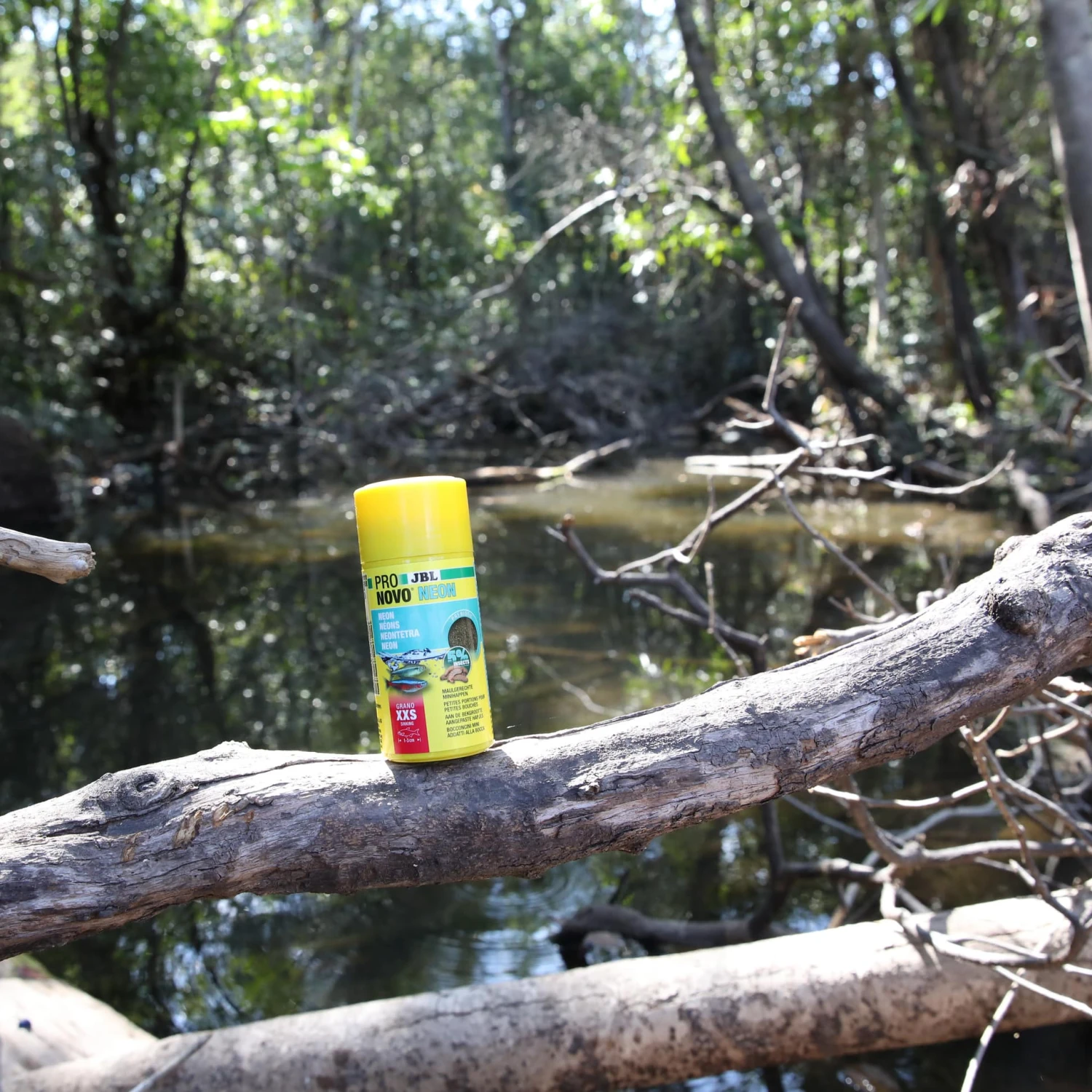 JBL ProNovo Neon Grano XXS 100 Ml Click Nourriture En Granulés Pour Néons Et Autres Petits Characins De 1 à 3 Cm 10 JBL ProNovo Neon Grano XXS 100 Ml Click Nourriture En Granulés Pour Néons Et Autres Petits Characins De 1 à 3 Cm – Image 8