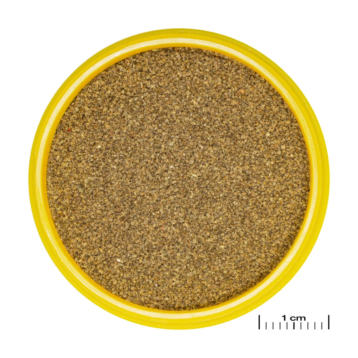 JBL ProNovo Neon Grano XXS 100 Ml Click Nourriture En Granulés Pour Néons Et Autres Petits Characins De 1 à 3 Cm 4 JBL ProNovo Neon Grano XXS 100 Ml Click Nourriture En Granulés Pour Néons Et Autres Petits Characins De 1 à 3 Cm – Image 2