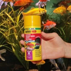 JBL ProNovo Red Grano M 100 Ml Nourriture De Base En Granulés Pour Poissons Rouges De 8 à 20 Cm -Poissons Aquariums Magasin jbl pronovo red grano m 250 ml nourriture de base en granules pour poissons rouges de 8 a 20 cm 4 min
