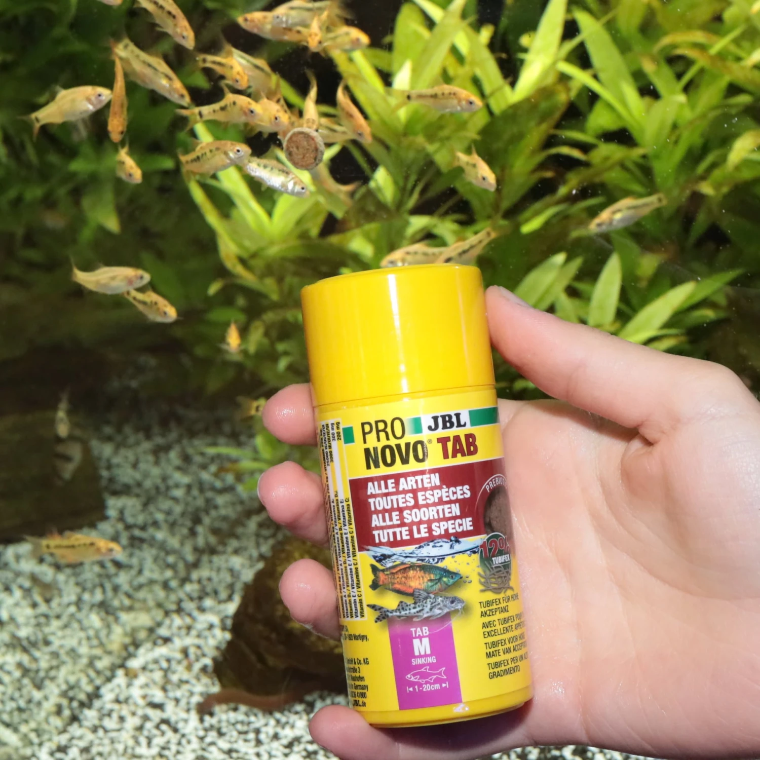 JBL ProNovo Tab M 1000 Ml Nourriture En Tablettes Pour Tous Poissons D'aquarium De 1 à 20 Cm 5 JBL ProNovo Tab M 1000 Ml Nourriture En Tablettes Pour Tous Poissons D'aquarium De 1 à 20 Cm – Image 3