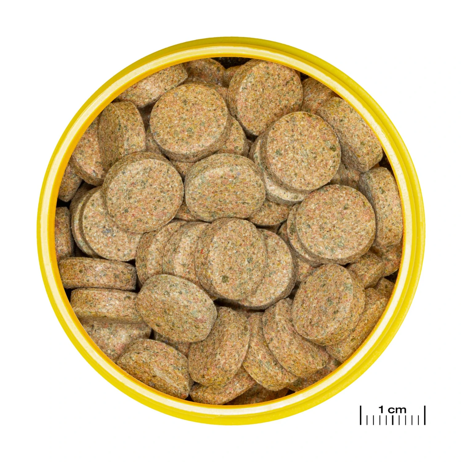 JBL ProNovo Tab M 100 Ml Nourriture En Tablettes Pour Tous Poissons D'aquarium De 1 à 20 Cm 4 JBL ProNovo Tab M 100 Ml Nourriture En Tablettes Pour Tous Poissons D'aquarium De 1 à 20 Cm – Image 2