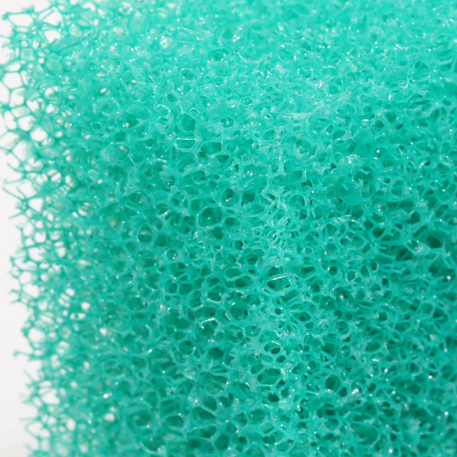 JBL Spongi éponge Pour Le Nettoyage Des Vitres D'aquariums Et Terrariums 8 JBL Spongi éponge Pour Le Nettoyage Des Vitres D'aquariums Et Terrariums – Image 6