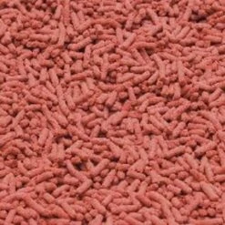 JBL NovoStick M 5,5 L En Granulés Spéciale Cichlidés -Poissons Aquariums Magasin jblnovostick2