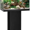 Aquarium JUWEL Primo 60 LED 61 X 31 X 37 Cm 57L Disponible Avec Ou Sans Meuble
