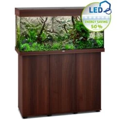 Aquarium JUWEL Rio 180 LED Dim. 100 X 41 X 50 Cm 180L - Gris, Blanc, Noir, Brun Ou Chêne Clair, Avec Ou Sans Meuble SBX -Poissons Aquariums Magasin juwel rio 180 led brun avec meuble