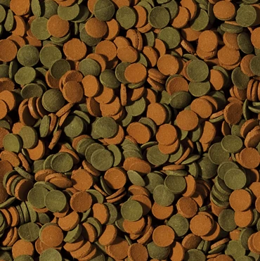 TROPICAL Mini Wafers Mix 100ml Pastilles Descendantes Avec Spirulina Pour Crustacés Et Poissons De Fond 4 TROPICAL Mini Wafers Mix 100ml Pastilles Descendantes Avec Spirulina Pour Crustacés Et Poissons De Fond – Image 2