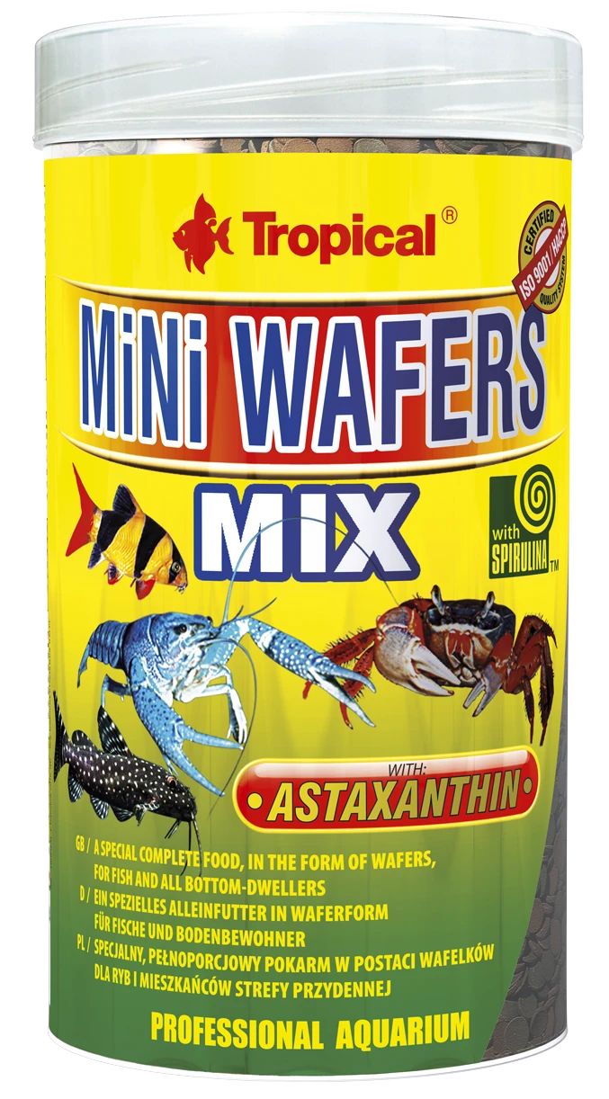 TROPICAL Mini Wafers Mix 100ml Pastilles Descendantes Avec Spirulina Pour Crustacés Et Poissons De Fond 3 TROPICAL Mini Wafers Mix 100ml Pastilles Descendantes Avec Spirulina Pour Crustacés Et Poissons De Fond