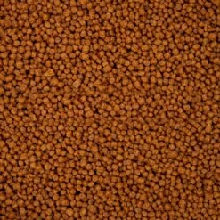 OCEAN NUTRITION Atison's Betta Pro 75 Gr Nourriture En Granulés Spéciale Croissance Et Conditionnement Pour Combattant -Poissons Aquariums Magasin ocean nutrition atison s betta pro