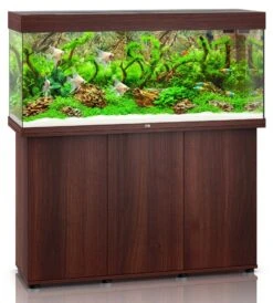 Aquarium JUWEL Rio 240 LED Dim. 121 X 41 X 55 Cm 240L - Gris, Blanc, Noir, Brun Ou Chêne Clair, Avec Ou Sans Meuble SBX -Poissons Aquariums Magasin rio 240 brun meuble
