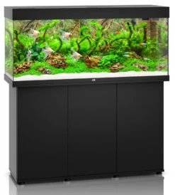 Aquarium JUWEL Rio 240 LED Dim. 121 X 41 X 55 Cm 240L - Gris, Blanc, Noir, Brun Ou Chêne Clair, Avec Ou Sans Meuble SBX -Poissons Aquariums Magasin rio 240 noir meuble