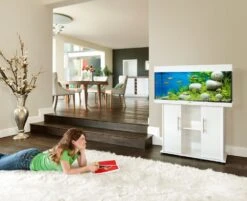 Aquarium JUWEL Rio 180 LED Dim. 100 X 41 X 50 Cm 180L - Gris, Blanc, Noir, Brun Ou Chêne Clair, Avec Ou Sans Meuble SBX -Poissons Aquariums Magasin rio125