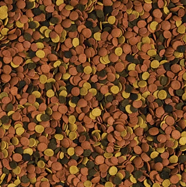 TROPICAL Supervit Chips 1L Chips Descendants à Multi Ingrédients Pour Poissons D'ornement 4 TROPICAL Supervit Chips 1L Chips Descendants à Multi Ingrédients Pour Poissons D'ornement – Image 2