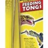 ZOOMED Feeding Tongs Pince 25cm En Acier Inoxydable Pour Le Nourrissage Manuel Des Réptiles Et Autres Animaux