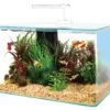 ZOLUX Aqua Clear 40 Blanc Aquarium 17 L Avec éclairage LEDs Et Filtre Interne