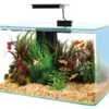 ZOLUX Aqua Clear 40 Noir Aquarium 17 L Avec éclairage LEDs Et Filtre Interne 1 ZOLUX Aqua Clear 40 Noir Aquarium 17 L Avec éclairage LEDs Et Filtre Interne -Poissons Aquariums Magasin zolux aqua clear 40 noir aquarium 17 l avec eclairage leds et filtre interne