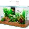 ZOLUX Aqua Clear 50 Blanc Aquarium 32 L Avec éclairage LEDs Et Filtre Interne 2 ZOLUX Aqua Clear 50 Blanc Aquarium 32 L Avec éclairage LEDs Et Filtre Interne -Poissons Aquariums Magasin zolux aqua clear 50 blanc aquarium 32 l avec eclairage leds et filtre interne