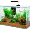 ZOLUX Aqua Clear 50 Noir Aquarium 32 L Avec éclairage LEDs Et Filtre Interne -Poissons Aquariums Magasin zolux aqua clear 50 noir aquarium 32 l avec eclairage leds et filtre interne