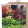 ZOLUX Jalaya 2 Chêne Clair 10 L Kit Nano-aquarium équipé Avec éclairage LEDs -Poissons Aquariums Magasin zolux jalaya 2 chene clair 10 l kit nano aquarium equipe avec eclairage leds min