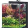ZOLUX Jalaya 2 Gris Anthracite 10 L Kit Nano-aquarium équipé Avec éclairage LEDs 2 ZOLUX Jalaya 2 Gris Anthracite 10 L Kit Nano-aquarium équipé Avec éclairage LEDs -Poissons Aquariums Magasin zolux jalaya 2 gris anthracite 10 l kit nano aquarium equipe avec eclairage leds min