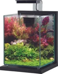 ZOLUX Jalaya 2 Gris Anthracite 10 L Kit Nano-aquarium équipé Avec éclairage LEDs