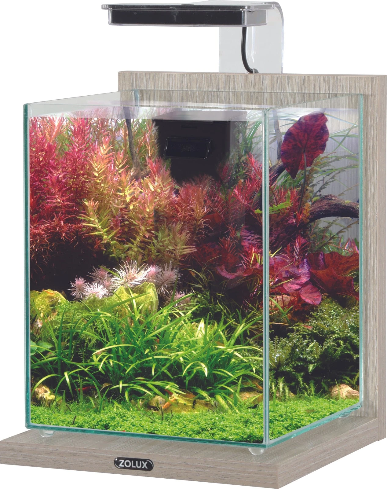 ZOLUX Jalaya 2 Zebrano Gris 10 L Kit Nano-aquarium équipé Avec éclairage LEDs 3 ZOLUX Jalaya 2 Zebrano Gris 10 L Kit Nano-aquarium équipé Avec éclairage LEDs