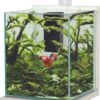 ZOLUX Jalaya XL Ceruse Blanc 18,7 L Kit Nano-aquarium équipé Avec éclairage LEDs -Poissons Aquariums Magasin zolux jalaya xl ceruse blanc 18 7 l kit nano aquarium equipe avec eclairage leds min